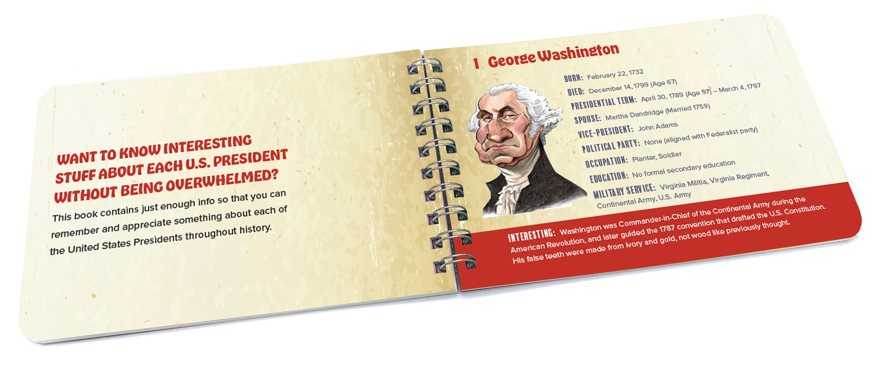 100090_2.jpg?v=1656354513