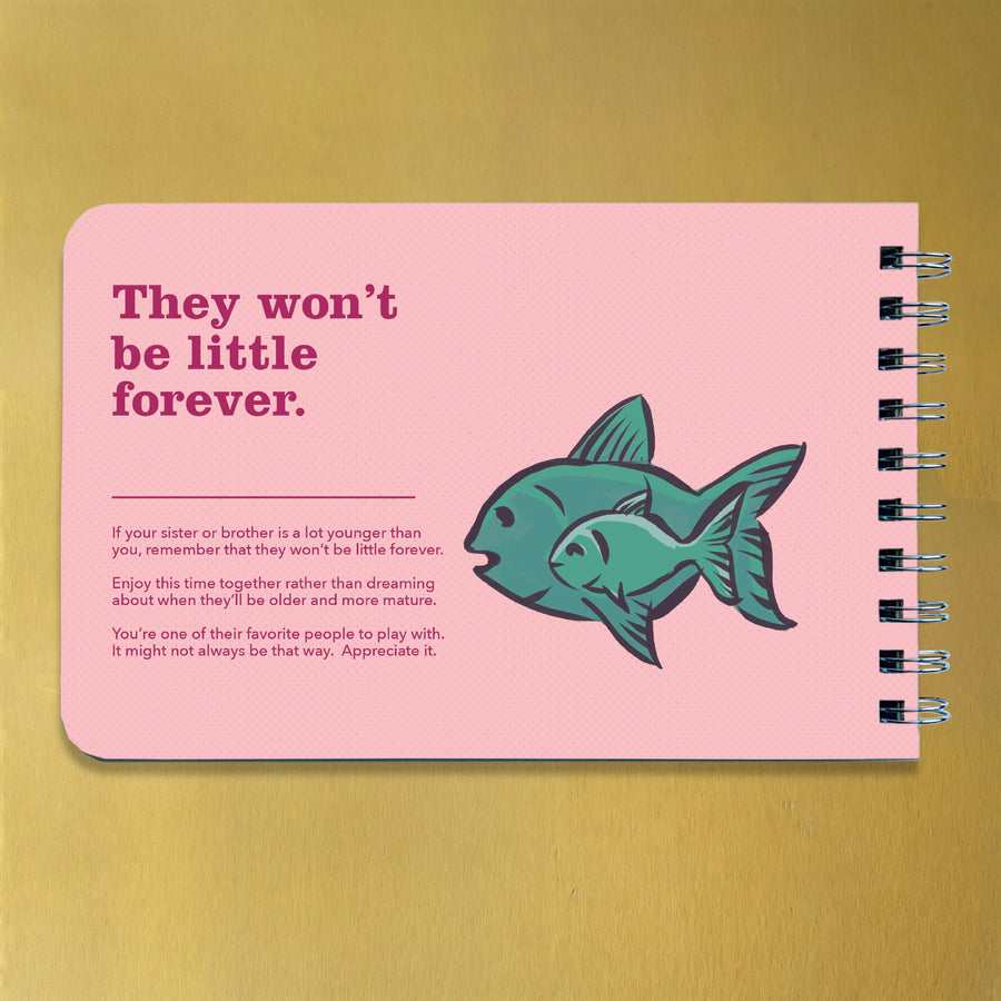 Being a Big Sister - Guidance and Advice for Big Sisters