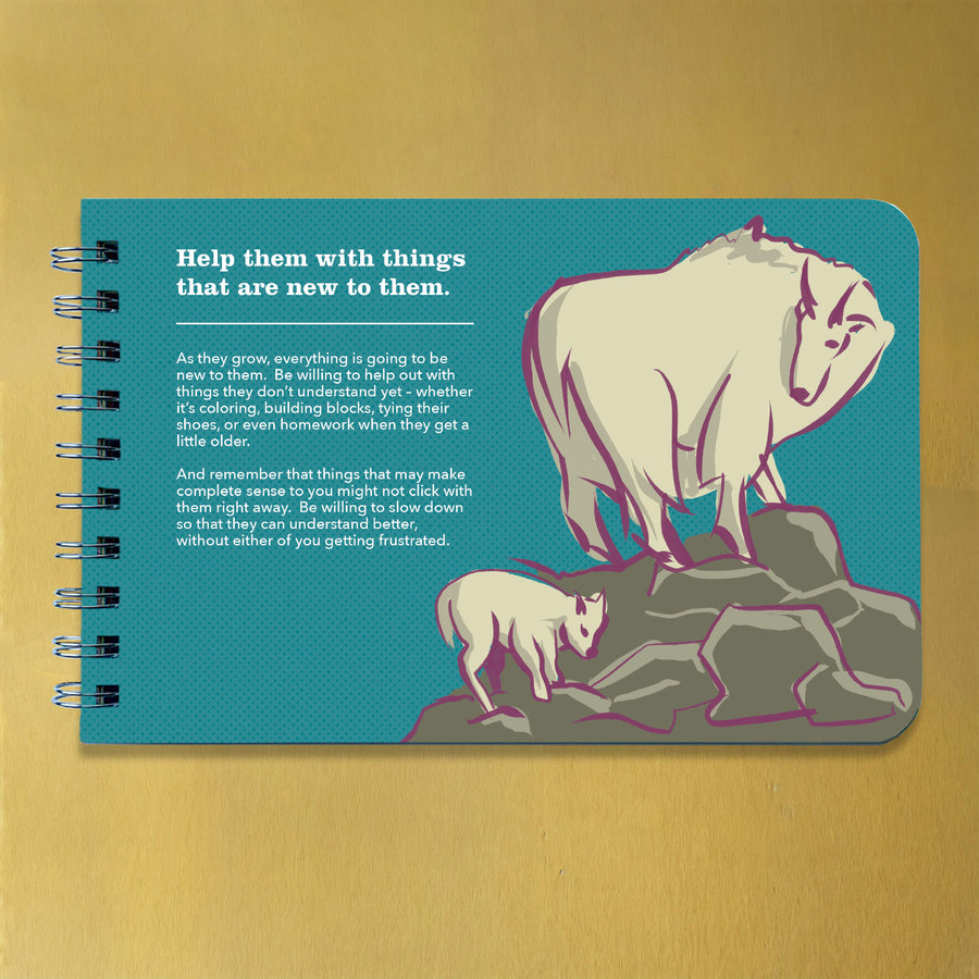 Being a Big Sister - Guidance and Advice for Big Sisters