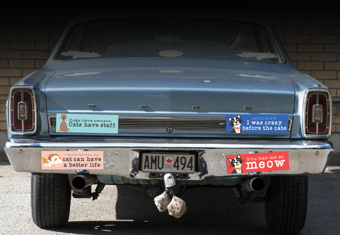 “Lets Face It I was Crazy Before the Cats” Bumper Sticker