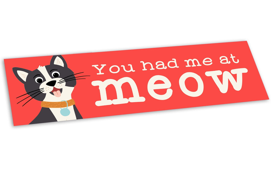 “You Had Me at Meow” Vinyl Pet Bumper Sticker